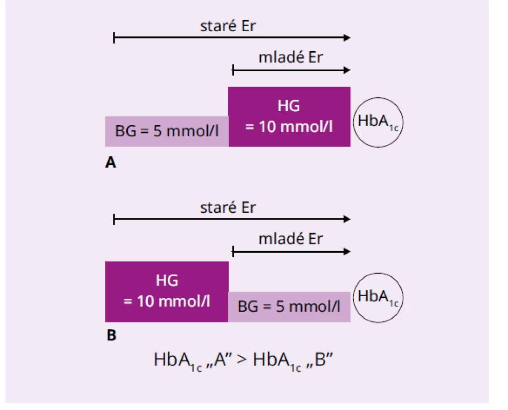 Jednoduché vysvetlenie biokinetického
modelu glykácie hemoglobínu